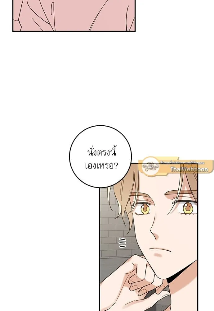 My One and Only Cat ตอนที่ 5805