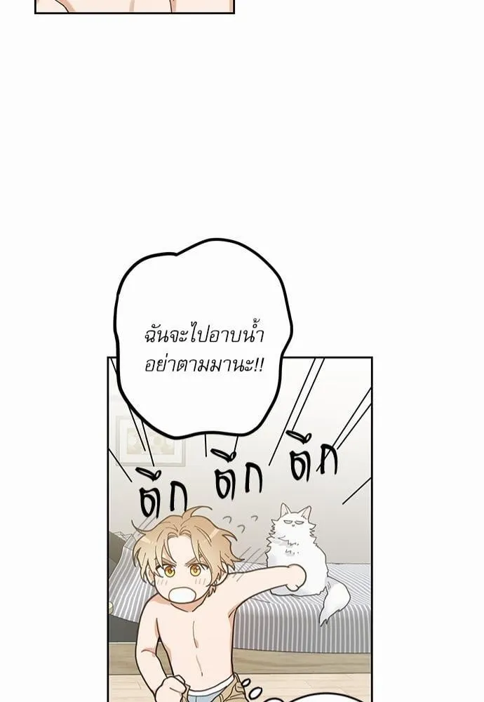 My One and Only Cat ตอนที่ 581 My One and Only Cat ตอนที่ 581