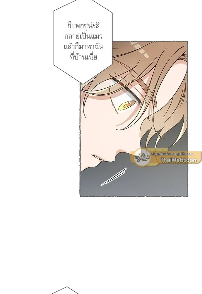 My One and Only Cat ตอนที่ 5815