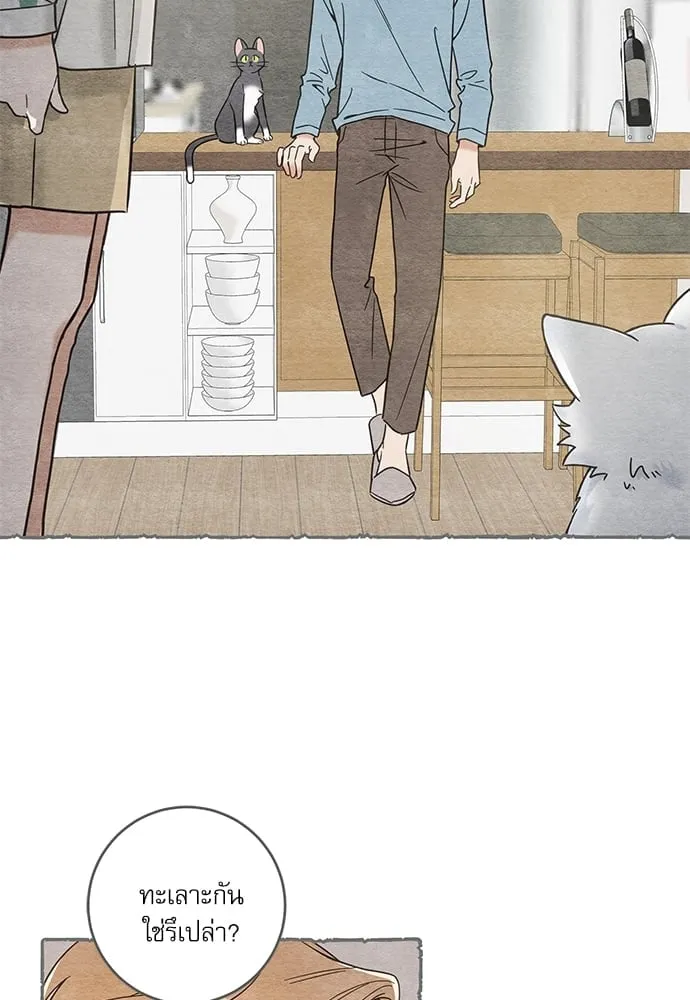 My One and Only Cat ตอนที่ 5820