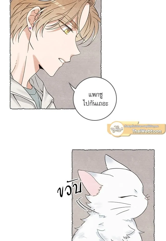 My One and Only Cat ตอนที่ 5821