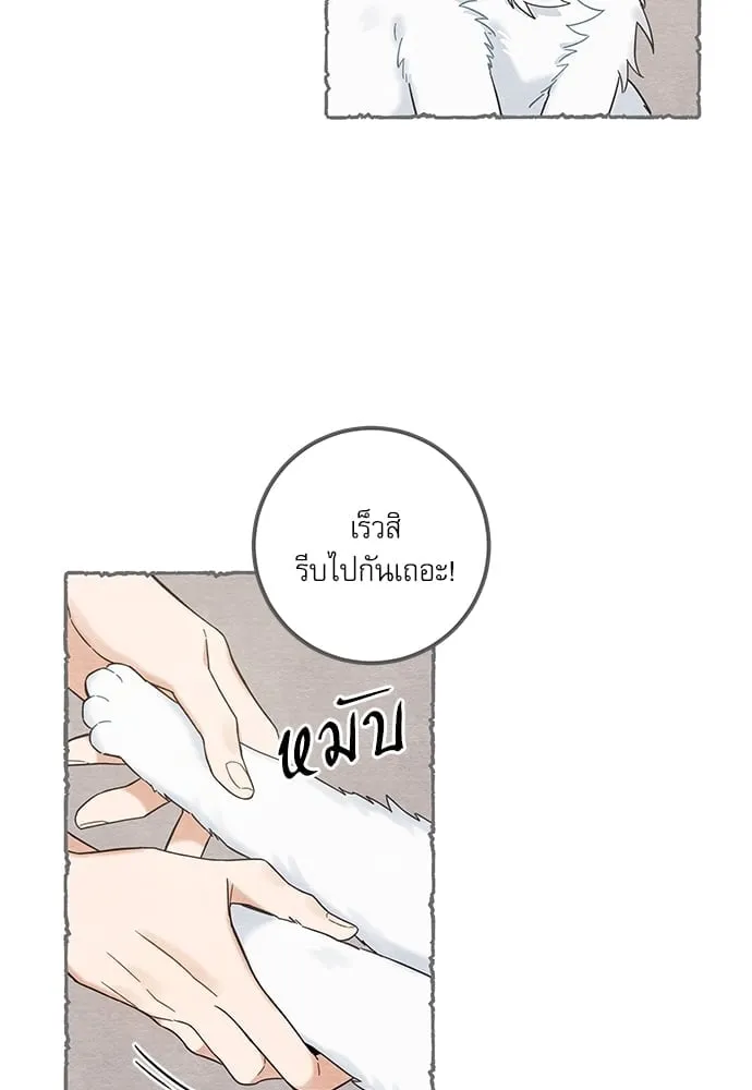 My One and Only Cat ตอนที่ 5822