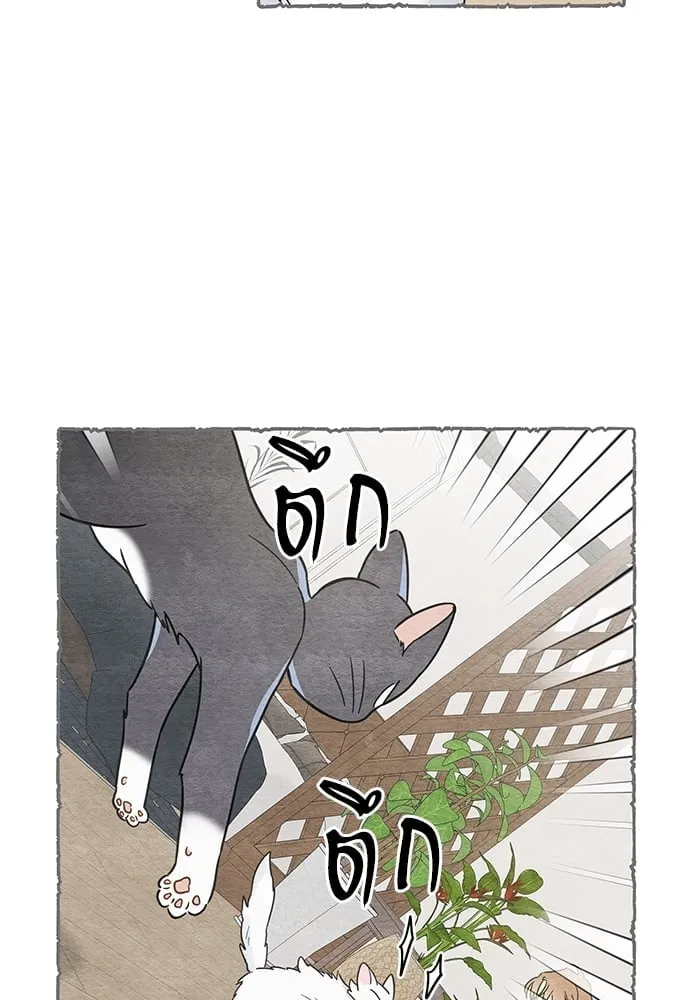 My One and Only Cat ตอนที่ 5824