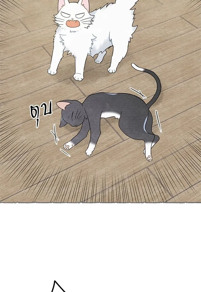 My One and Only Cat ตอนที่ 5828
