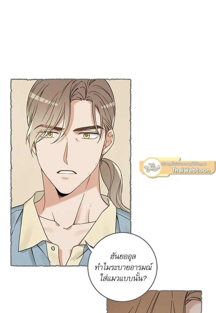 My One and Only Cat ตอนที่ 5831