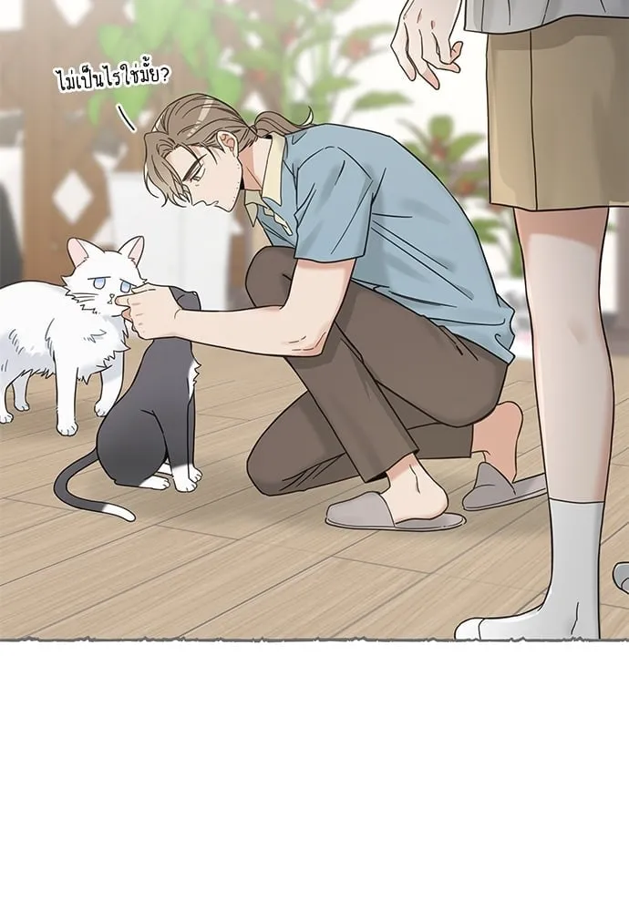My One and Only Cat ตอนที่ 5833