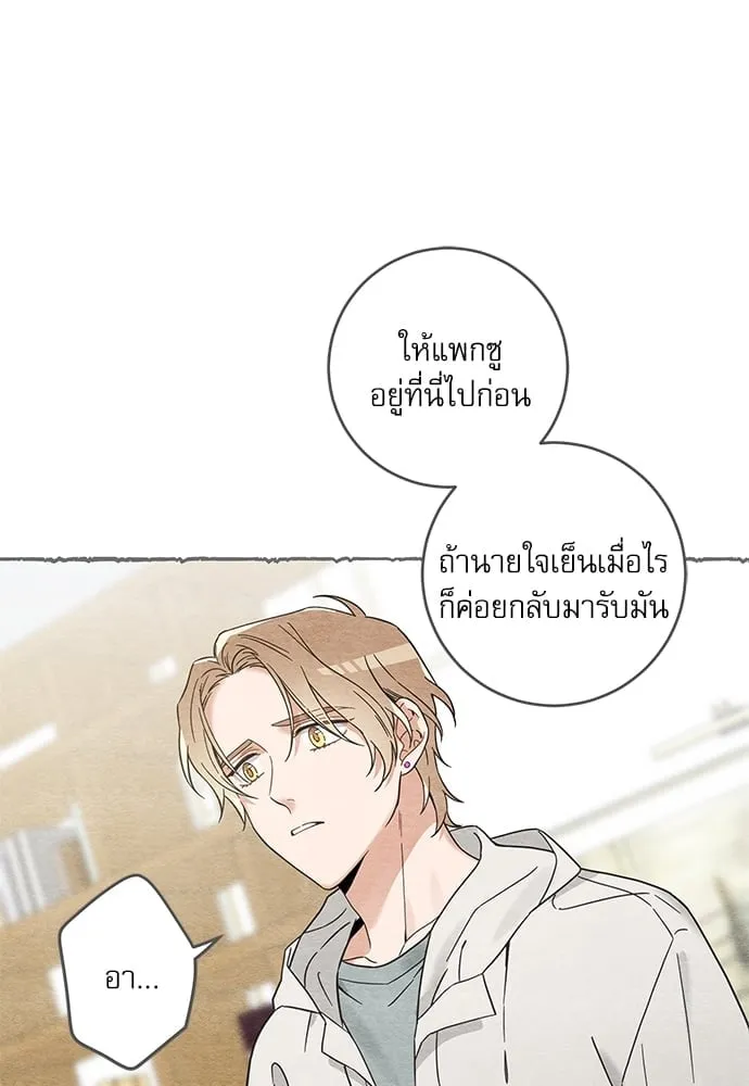 My One and Only Cat ตอนที่ 5836