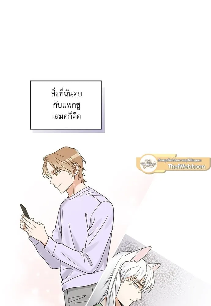 My One and Only Cat ตอนที่ 5869