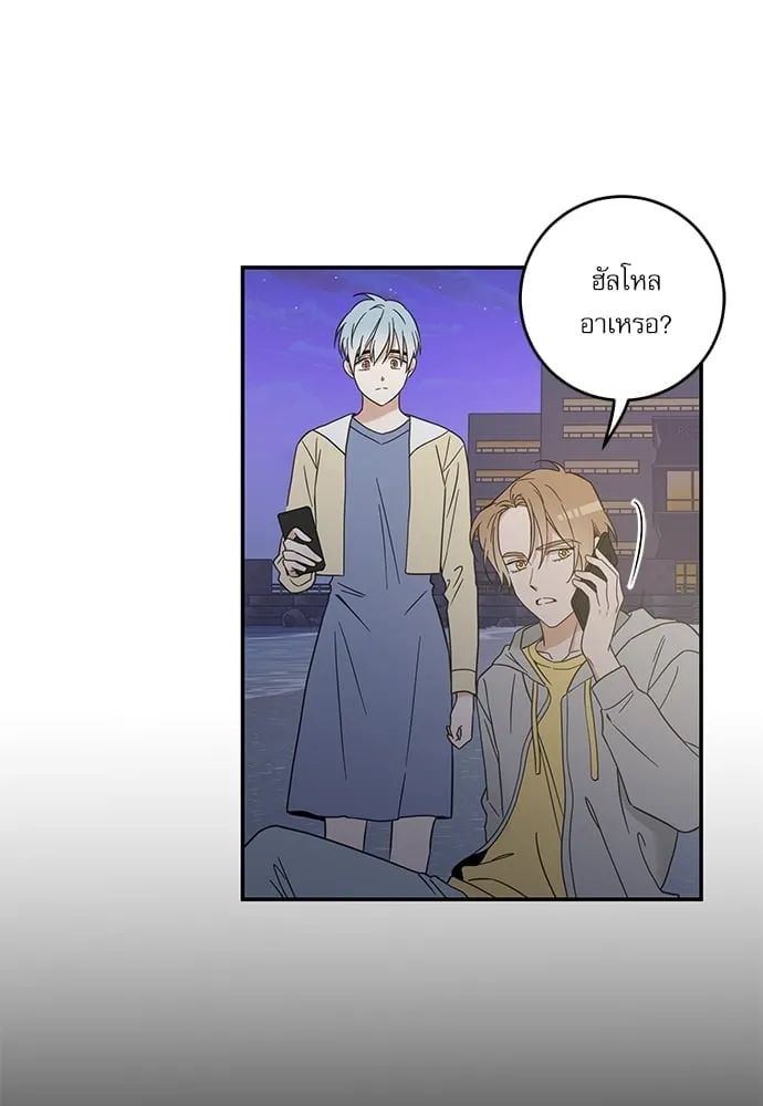 My One and Only Cat ตอนที่ 5872