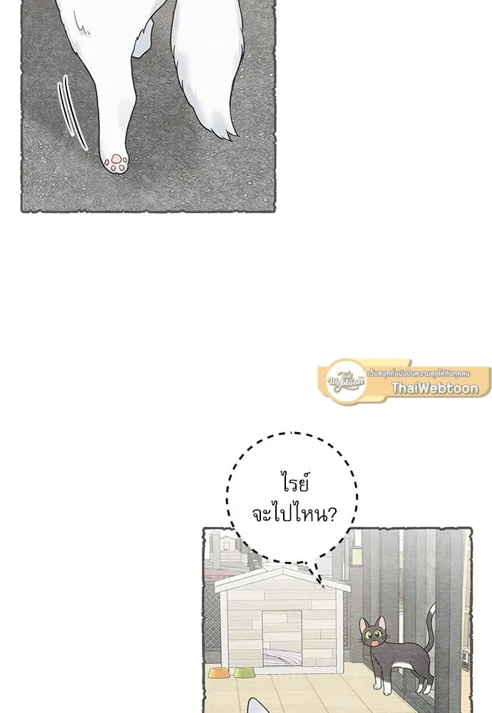 My One and Only Cat ตอนที่ 5902