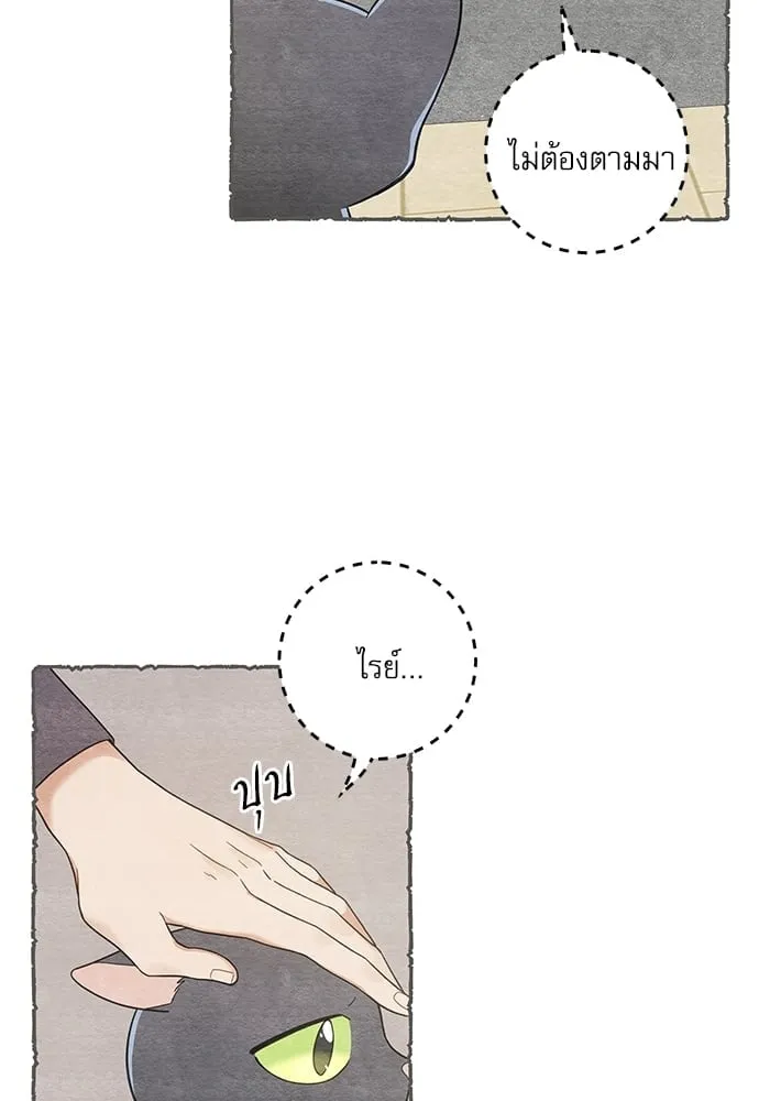 My One and Only Cat ตอนที่ 5905