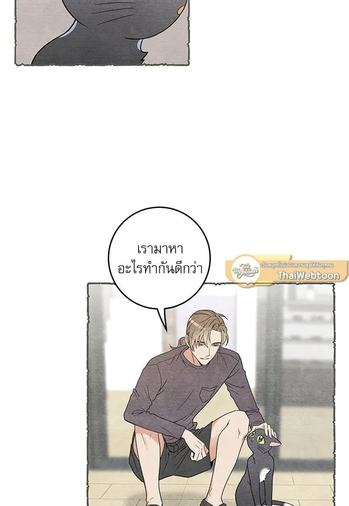 My One and Only Cat ตอนที่ 5906