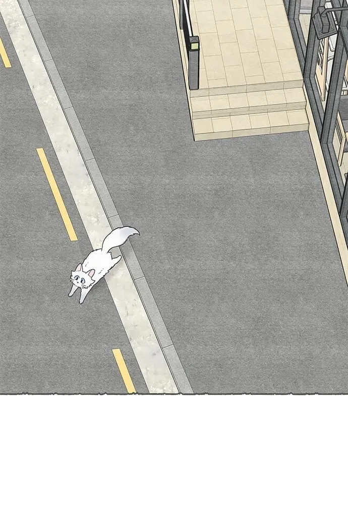 My One and Only Cat ตอนที่ 5909