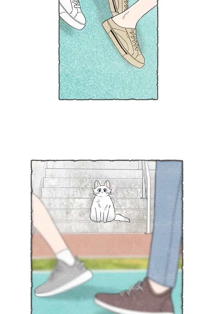 My One and Only Cat ตอนที่ 5911