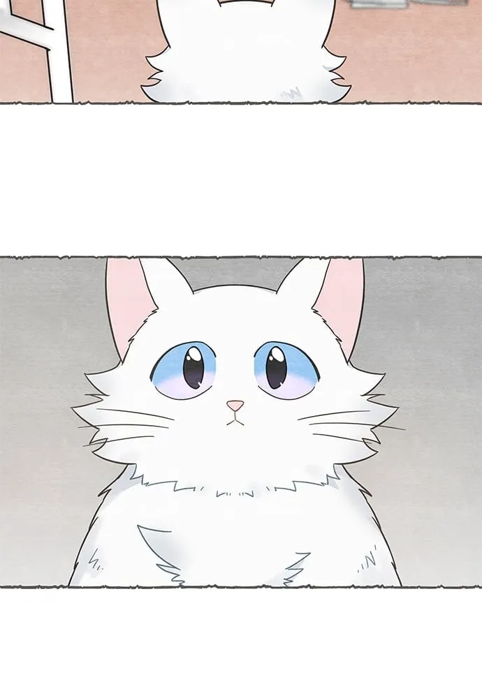 My One and Only Cat ตอนที่ 5913