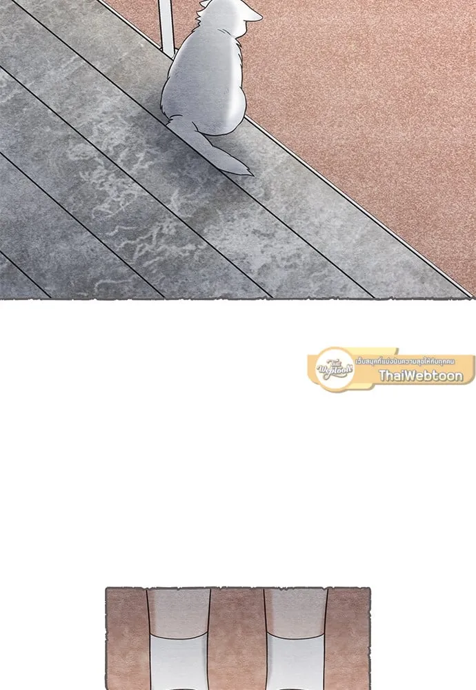 My One and Only Cat ตอนที่ 5922