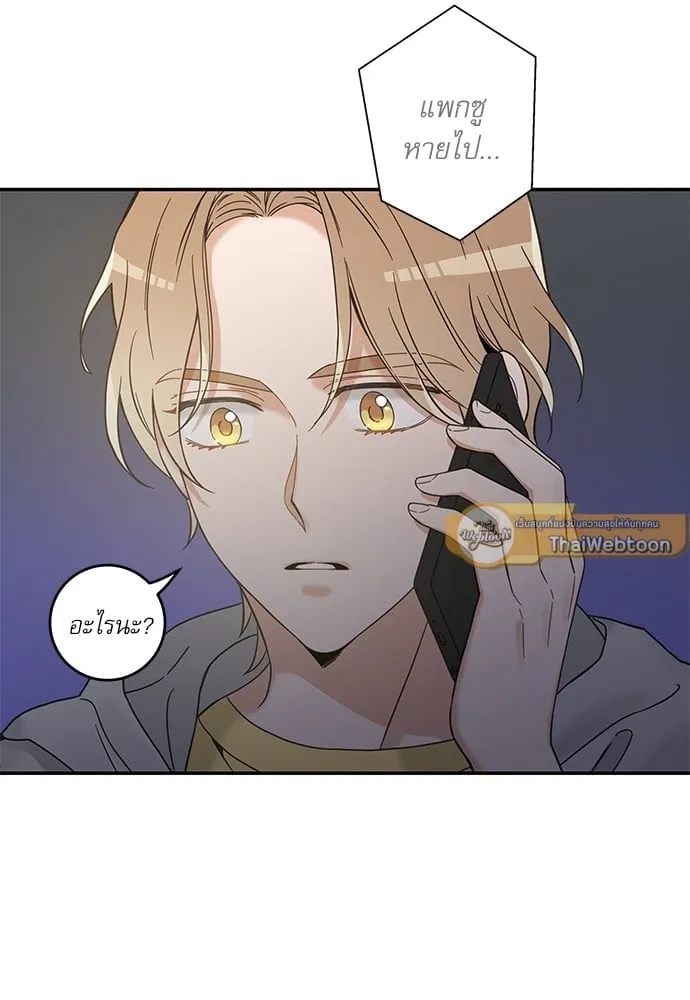 My One and Only Cat ตอนที่ 5930