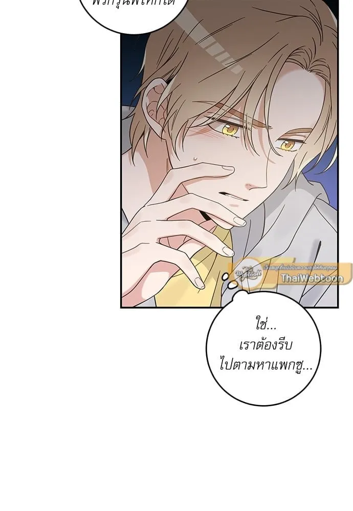 My One and Only Cat ตอนที่ 5937
