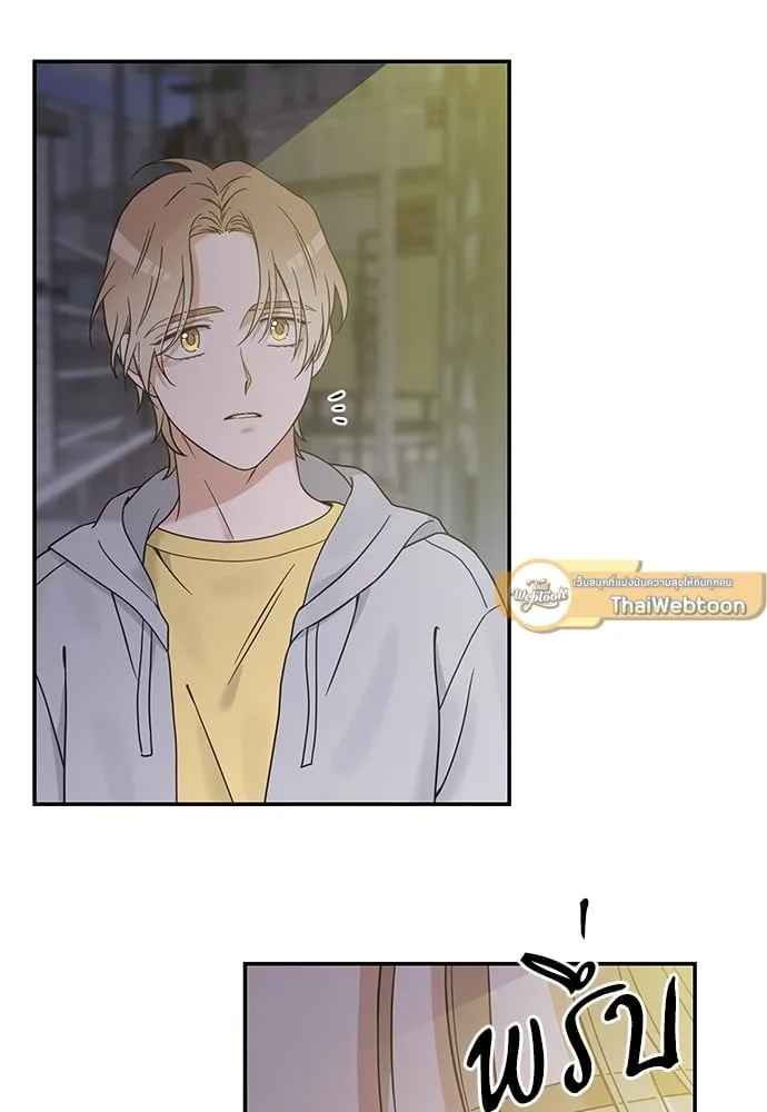 My One and Only Cat ตอนที่ 5961