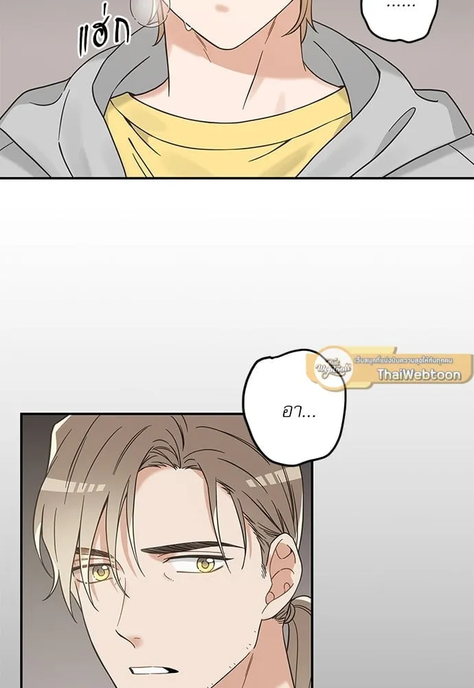 My One and Only Cat ตอนที่ 5967