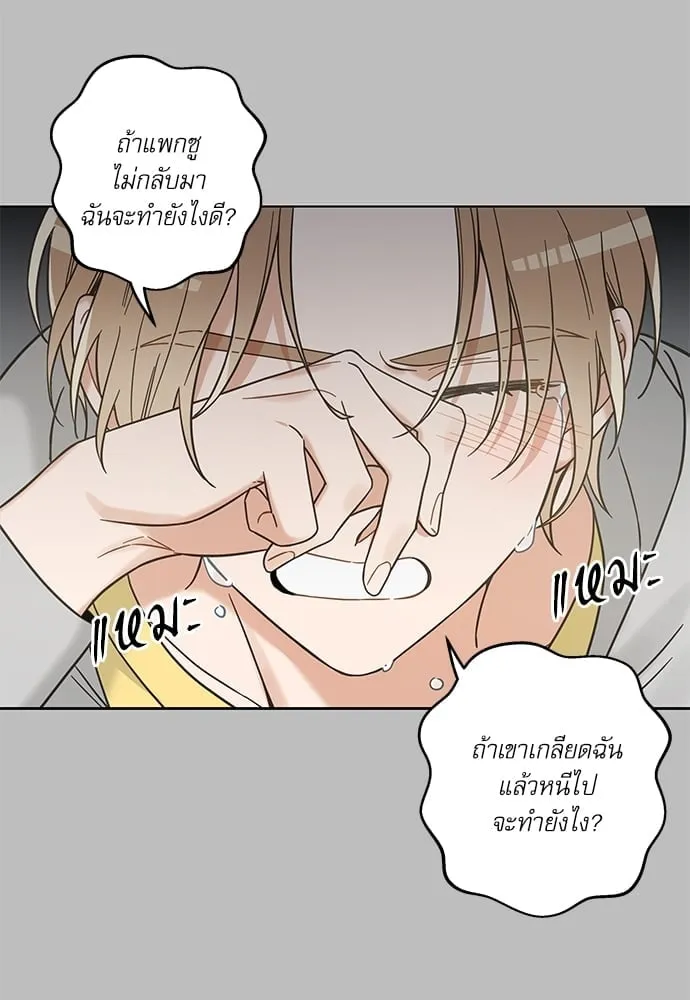 My One and Only Cat ตอนที่ 5977