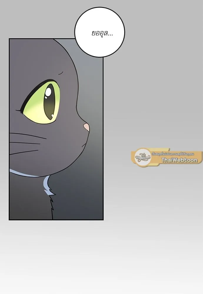 My One and Only Cat ตอนที่ 5978