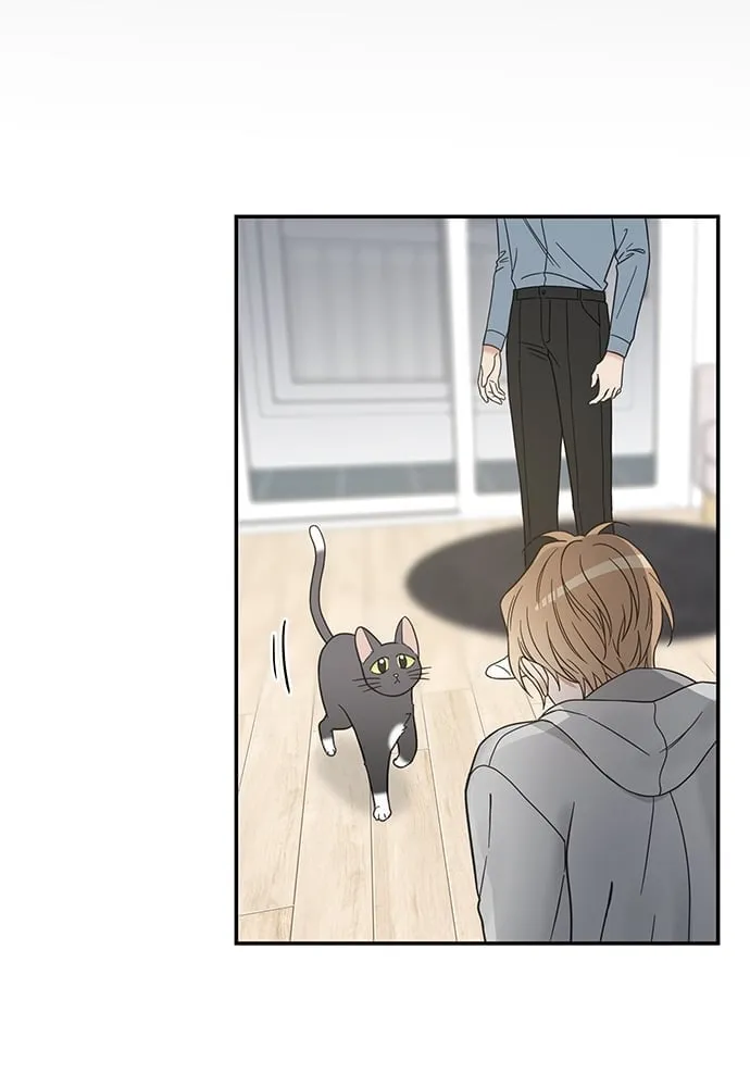 My One and Only Cat ตอนที่ 5979