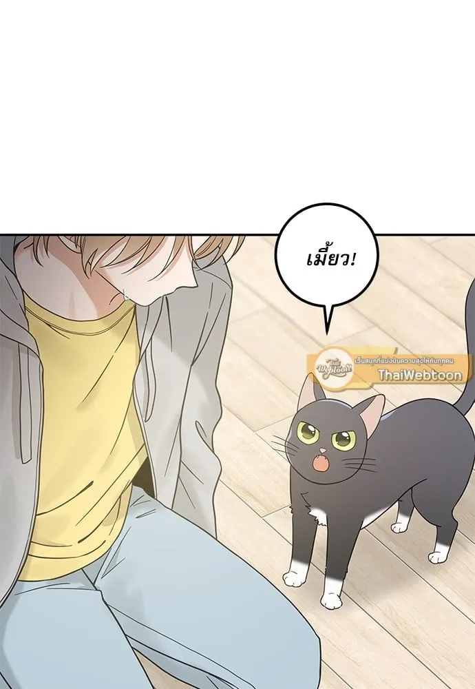 My One and Only Cat ตอนที่ 5980