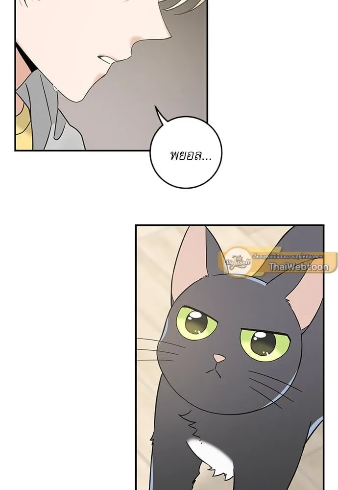 My One and Only Cat ตอนที่ 5982