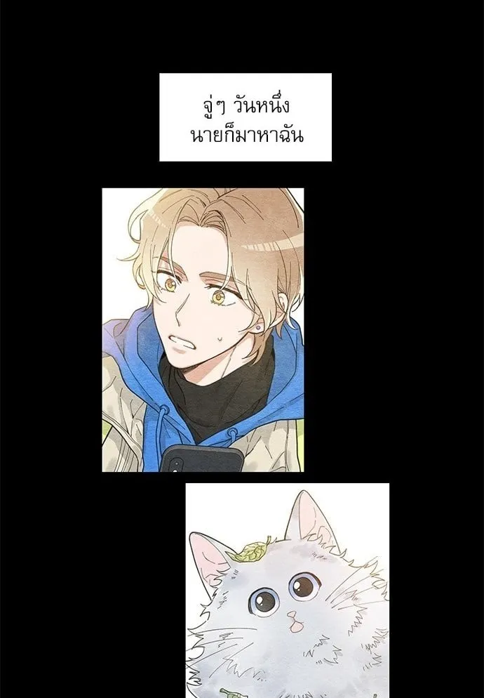 My One and Only Cat ตอนที่ 6001