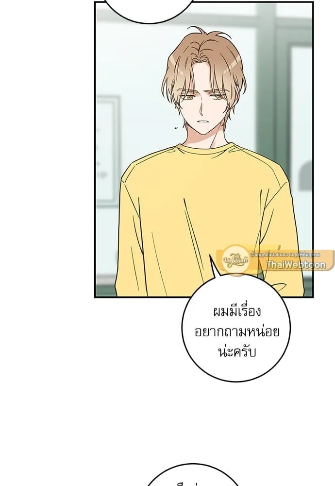 My One and Only Cat ตอนที่ 6015