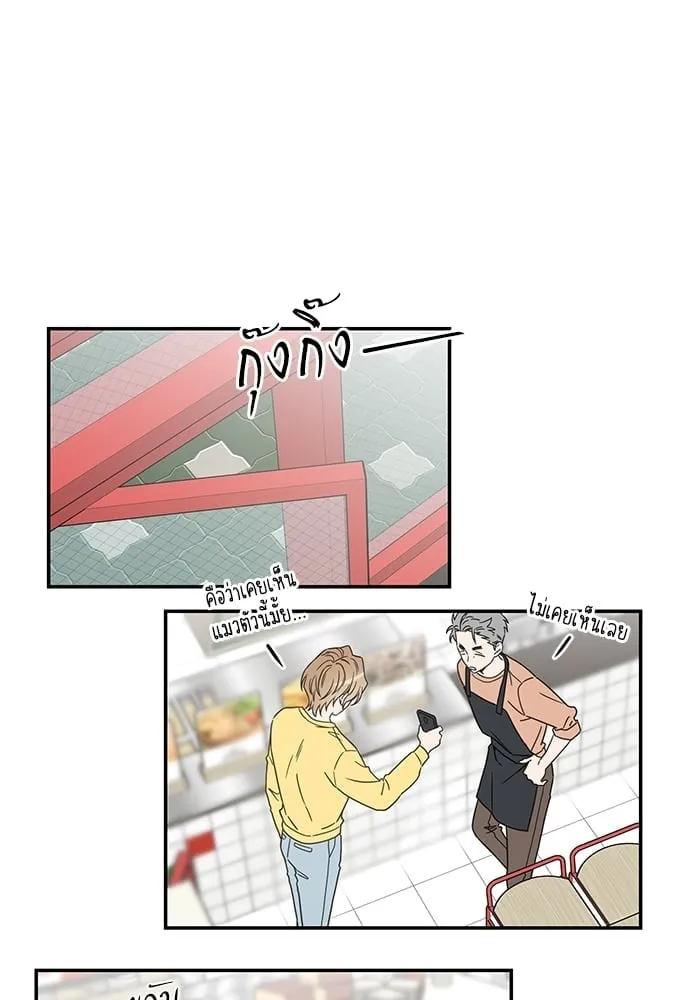 My One and Only Cat ตอนที่ 6019