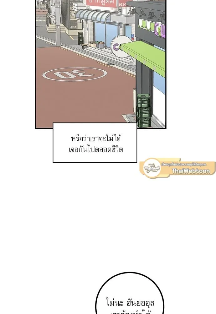 My One and Only Cat ตอนที่ 6024