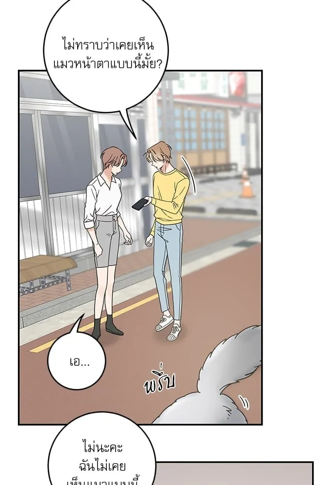 My One and Only Cat ตอนที่ 6027