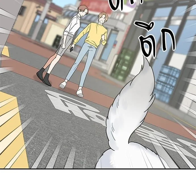 My One and Only Cat ตอนที่ 6033