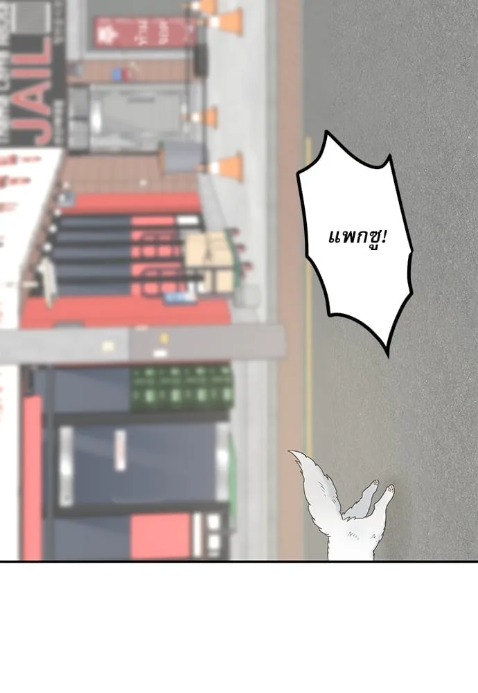 My One and Only Cat ตอนที่ 6035