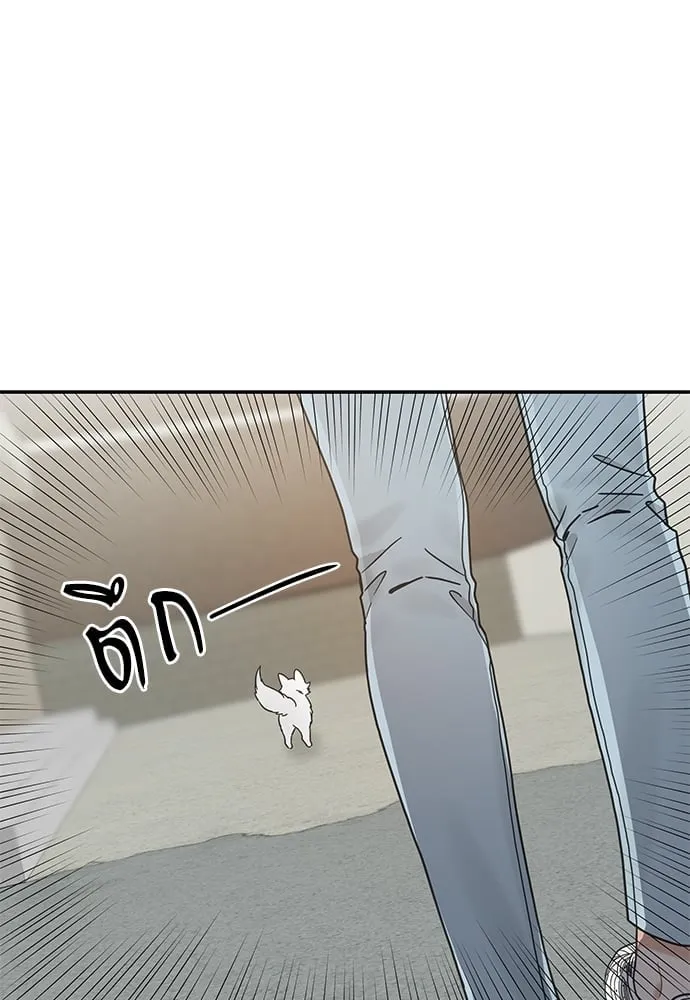 My One and Only Cat ตอนที่ 6037