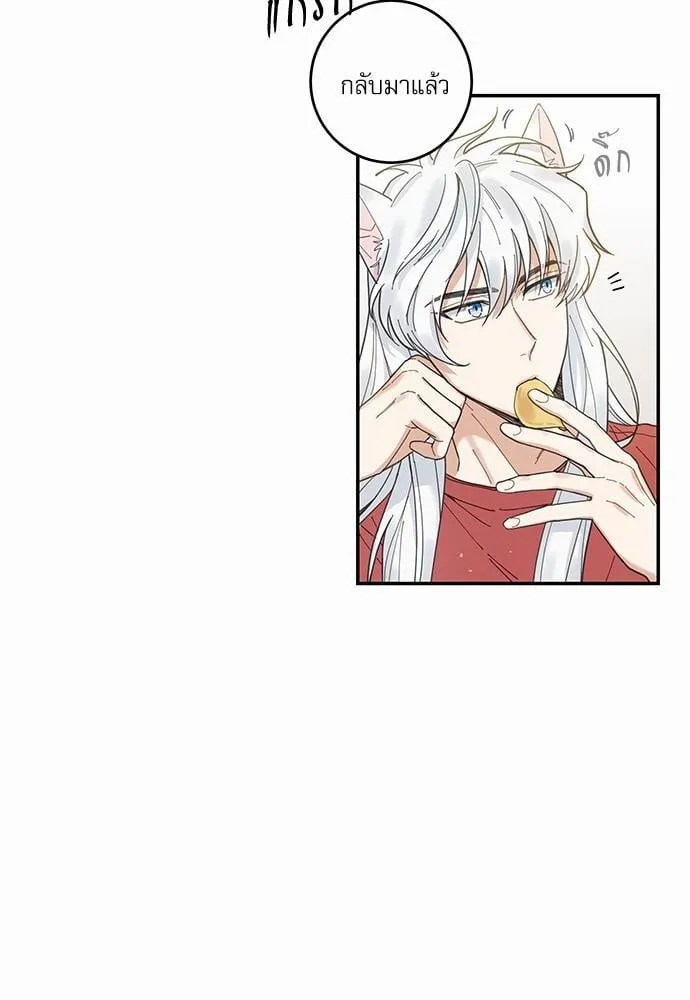 My One and Only Cat ตอนที่ 604 My One and Only Cat ตอนที่ 604