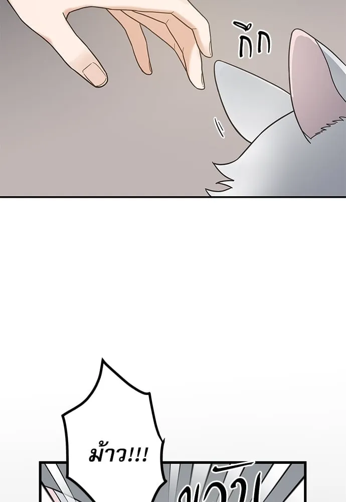 My One and Only Cat ตอนที่ 6041