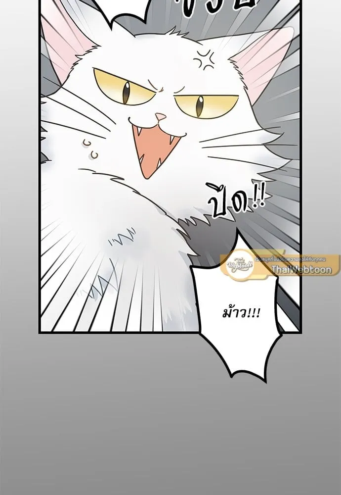 My One and Only Cat ตอนที่ 6042