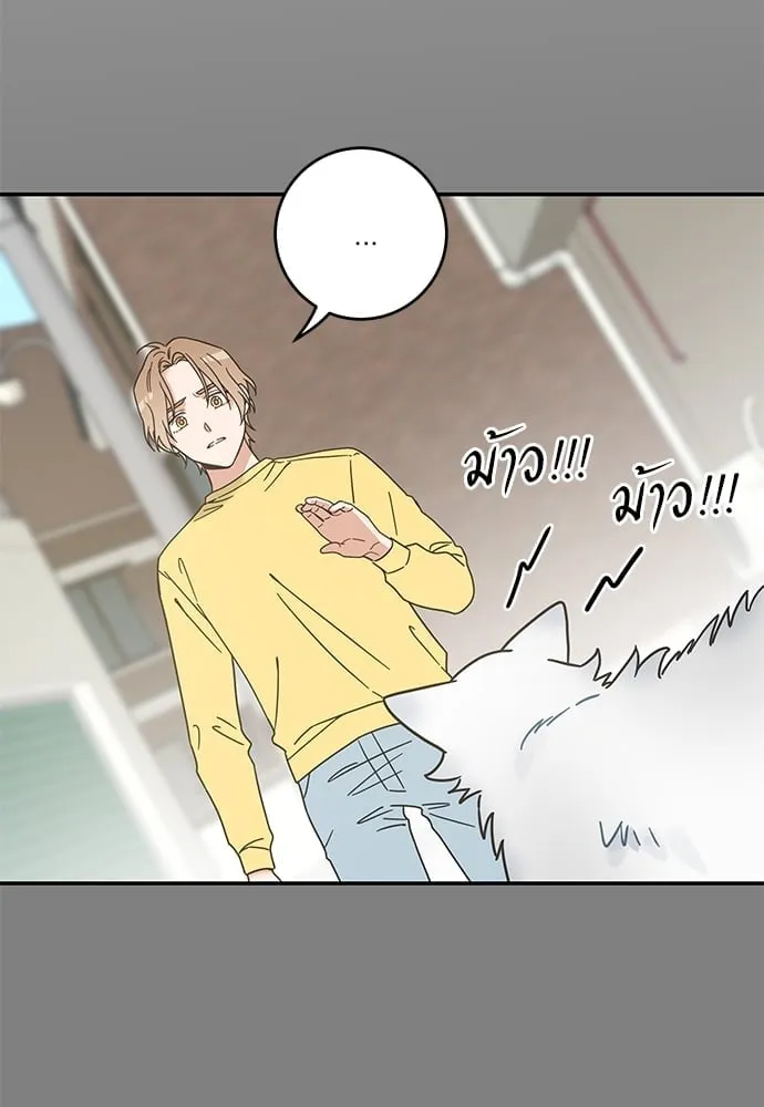 My One and Only Cat ตอนที่ 6043