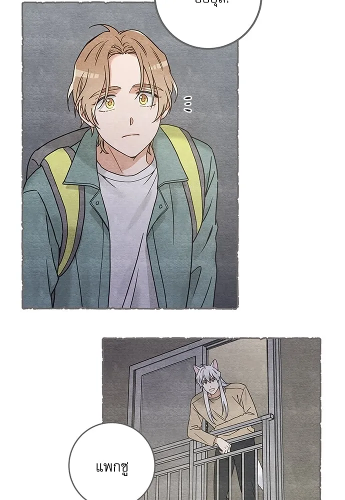 My One and Only Cat ตอนที่ 6061