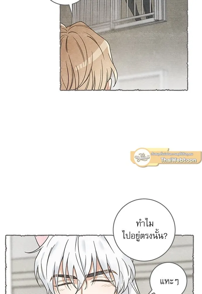 My One and Only Cat ตอนที่ 6062