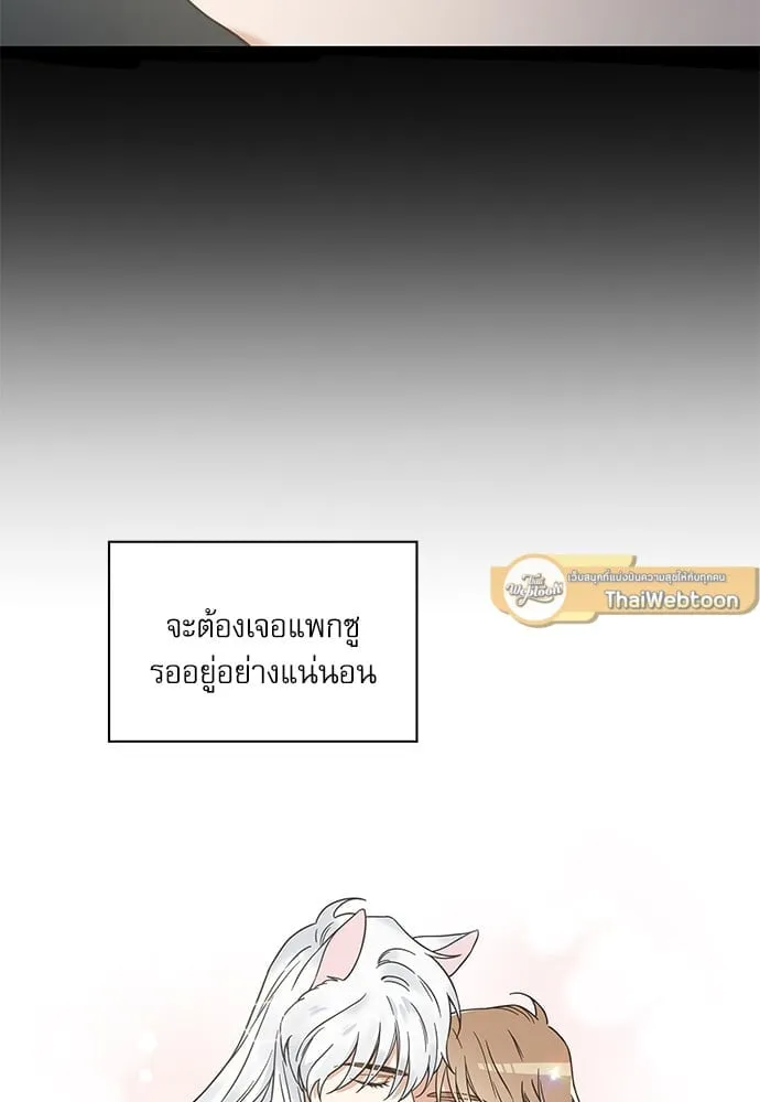 My One and Only Cat ตอนที่ 6071