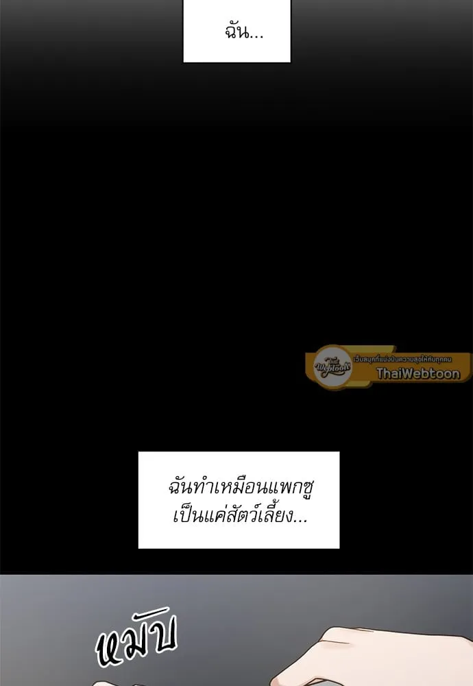 My One and Only Cat ตอนที่ 6073