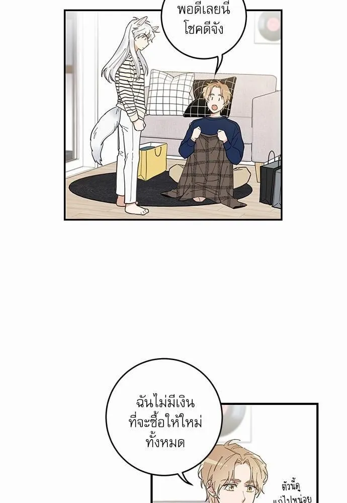 My One and Only Cat ตอนที่ 610 My One and Only Cat ตอนที่ 610