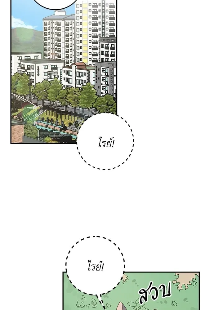 My One and Only Cat ตอนที่ 6101