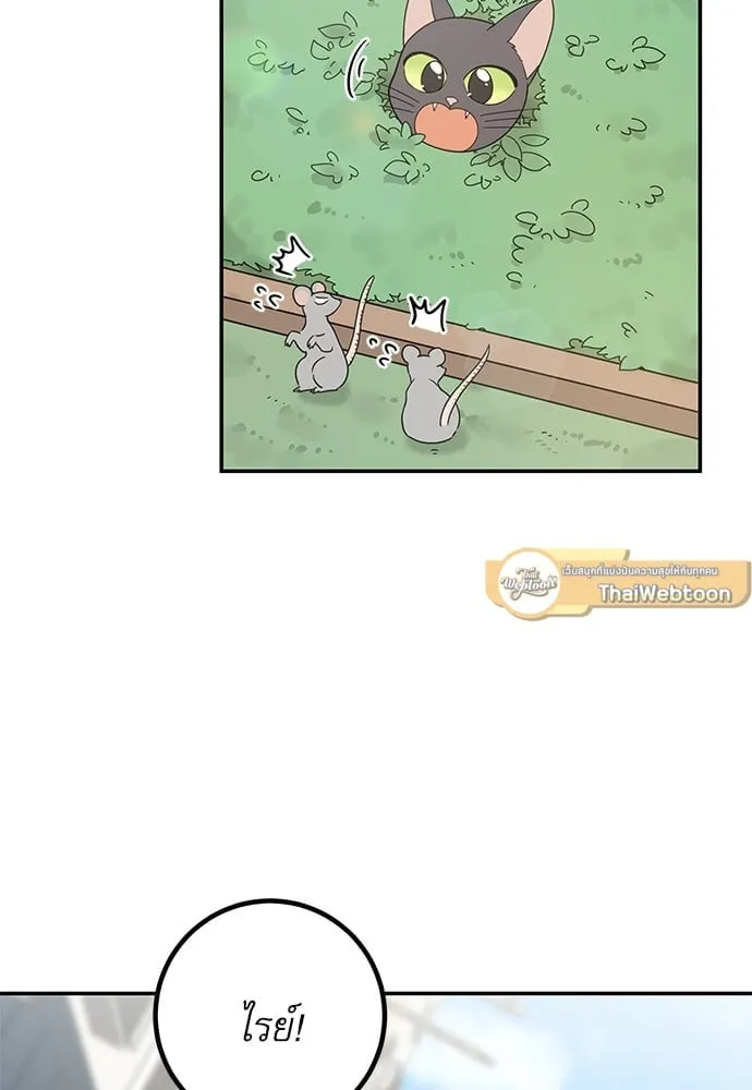 My One and Only Cat ตอนที่ 6102