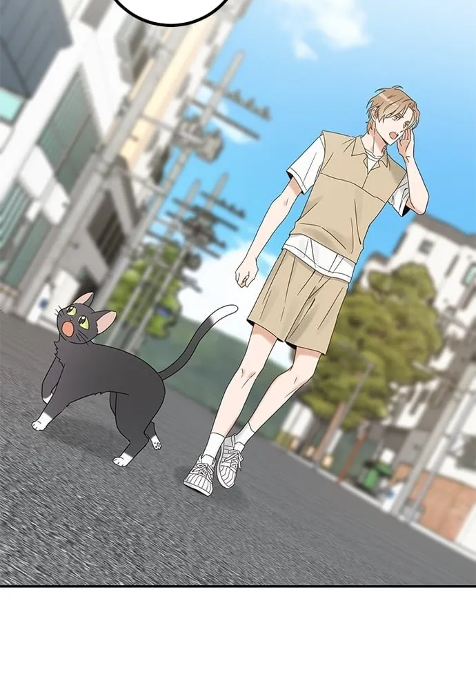 My One and Only Cat ตอนที่ 6103