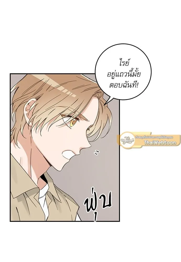 My One and Only Cat ตอนที่ 6104